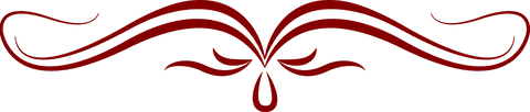 Red Abstract Shape on Transparent Background Vector Decoration - Download Free Stock Videos Pikwizard.com