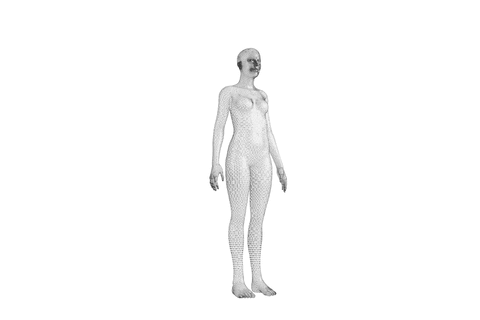 Transparent 3D Woman Model Looking Outward - Download Free Stock Videos Pikwizard.com