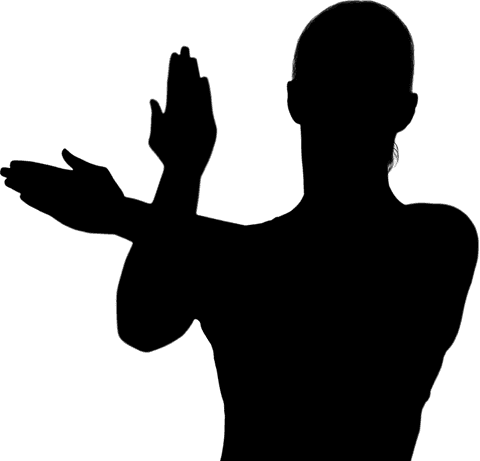 Silhouette of active woman in sport pose on transparent background