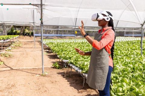Woman using vr technology in hydroponic greenhouse