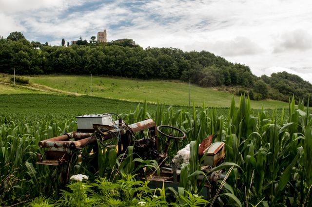 Abandoned vintage tractor sits amid overgrown green fields, with a distant castle atop a wooded hill. Ideal for illustrating themes related to rural life, abandonment, rustic charm, and agricultural heritage. Useful for backgrounds in agriculturally focused content, travel blogs, and historical picture collections.