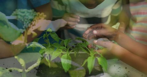 Multiracial Family Enthusiastically Engaged in Gardening Activity