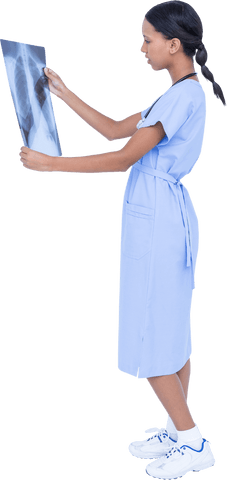 Transparent Image of Surgeon Examining Patient X-ray - Download Free Stock Videos Pikwizard.com