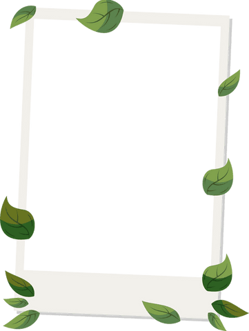 nature-inspired instant frame with floating green leaves on transparent background - Download Free Stock Videos Pikwizard.com