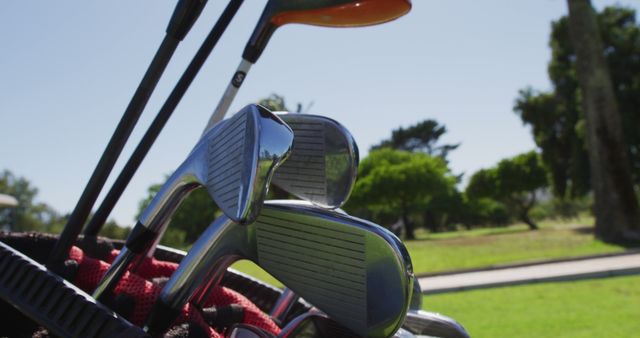 Close up view of multiple golf clubs in golf bag at golf course on a bright sunny day. retirement sports and active senior lifestyle.