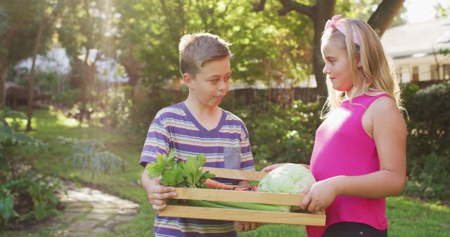 Happy caucasian brother and sister standing in garden holding box of vegetables and smiling. happy family spending free time at home.