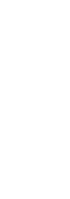 Digital Silhouette of Female Archer with Bow and Arrow on Transparent Background - Download Free Stock Videos Pikwizard.com