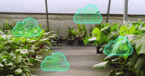Greenhouse smart farming concept with teal cloud overlays and potted foliage aisle