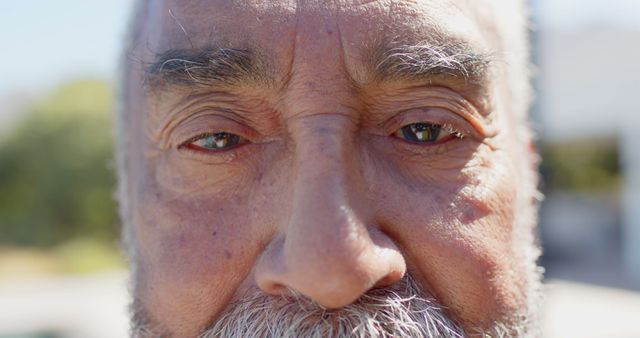 Close-up details of an elderly man's face under natural sunlight, highlighting wrinkles and textured skin. Perfect for use in healthcare blogs, senior lifestyle articles, advertisements targeting mature audiences, or art projects focusing on the human experience and aging process.