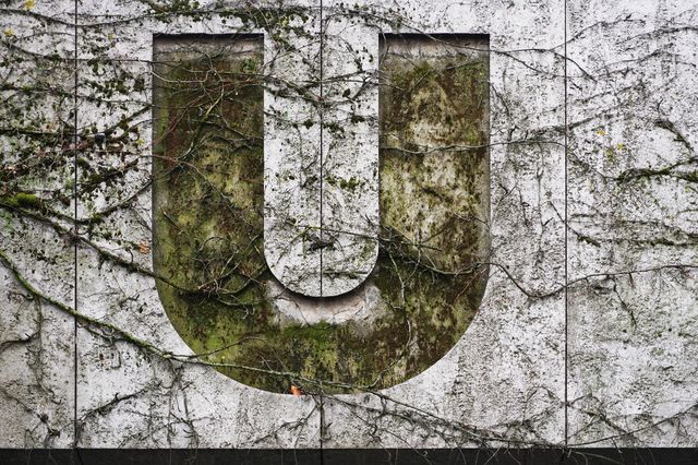 Overgrown letter U on a concrete wall covered in moss and vines, showcasing the contrast between man-made structures and natural elements reclaiming space. Great for themes of urban decay, nature perseverance, or environmental changes. A suitable visual for design projects related to typography, nature, or urban landscapes.