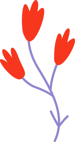 Minimalist red floral sprig with transparent background