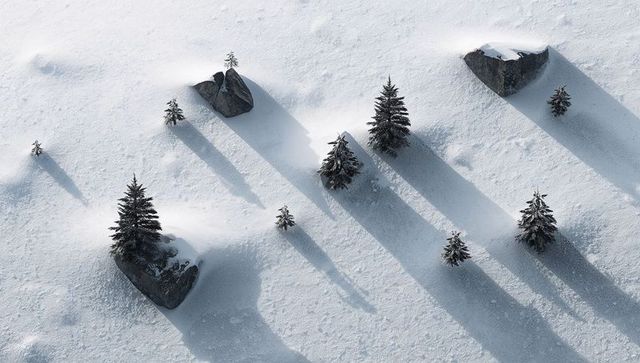 Aerial minimal winter landscape with evergreen trees on rocky snowfield casting diagonal shadows