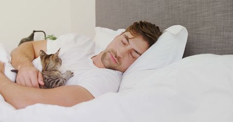 Young Man Sleeping Peacefully with Kitten in Cozy Bed - Download Free Stock Images Pikwizard.com