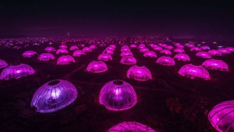 Glowing transparent dome array casting magenta light across night plain