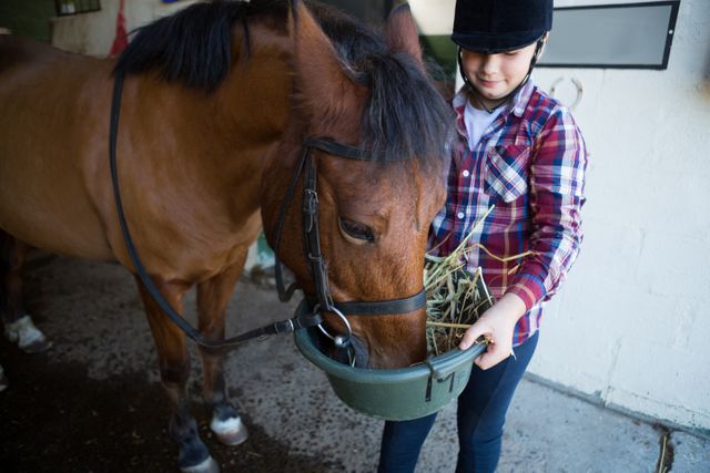 Young girl wearing plaid shirt and helmet, feeding brown horse with hay in stable. Perfect for concepts related to animal care, children's activities, equestrian sports, and pet bonding. Suitable for websites, educational materials, and advertising related to horse riding and animal husbandry.