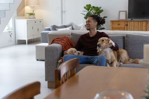Smiling african american man cuddling golden retrievers on modern living room sofa