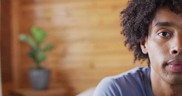 Man With Curly Hair Reflecting Against Wooden Wall Background - Download Free Stock Images Pikwizard.com