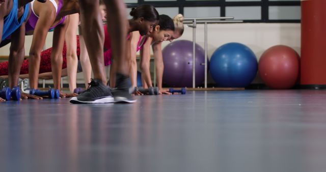 Group Fitness Class Participants in Plank Position Ready for Exercise - Download Free Stock Images Pikwizard.com