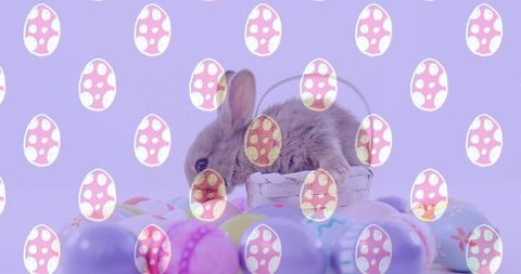 Fluffy brown bunny resting in wicker basket surrounded by pastel easter eggs and whimsical overlay