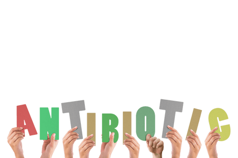 hands holding colorful antibiotics text on transparent background - Download Free Stock Videos Pikwizard.com