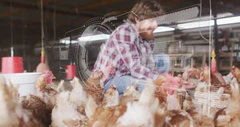 Farmer Utilizing Technology with Chickens on a Modern Poultry Farm