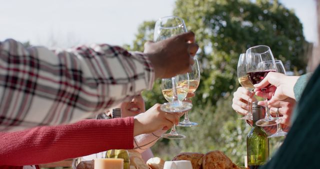 Friends Toasting Wine Glasses at Outdoor Picnic - Download Free Stock Images Pikwizard.com