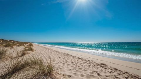 Tranquil sunlit beach with dune grasses and sparkling waves