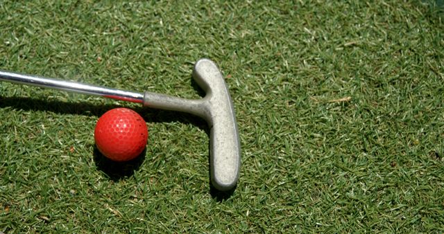 A close-up of a putter and red golf ball on the green. Golf enthusiasts recognize this as a crucial moment before a putt.