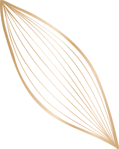 luxury transparent abstract gold line leaf design - Download Free Stock Videos Pikwizard.com