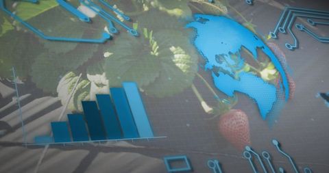 Agtech data visualization showing strawberry growth analytics with holographic globe