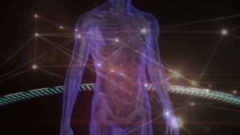 Futuristic Visualization of Human Body and Data Connections