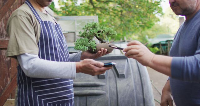 Bonsai Tree Handover Outside, Men Engaging in Gardening Activity - Download Free Stock Images Pikwizard.com