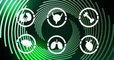 Human Anatomy and Biology Icons with Digital Green Background - Download Free Stock Images Pikwizard.com