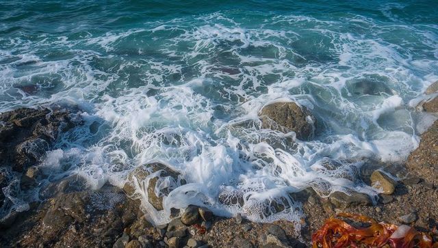 Foamy surf crashing over rocky shoreline with turquoise water and red kelp