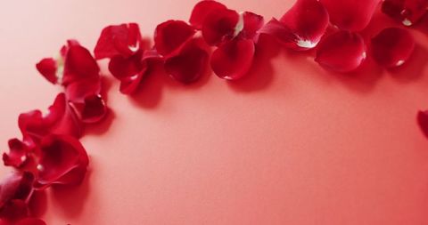 Red Petal Border on Scarlet Background for Romantic Occasions