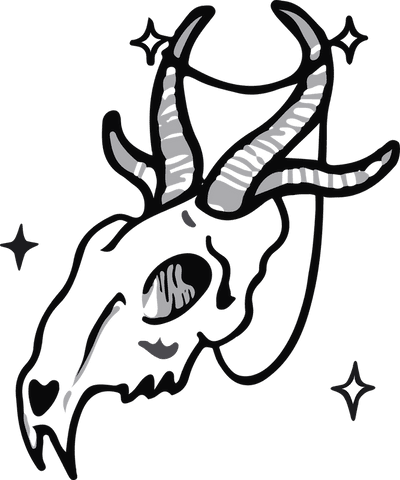 mystical animal skull with horns and stars on transparent background - Download Free Stock Videos Pikwizard.com