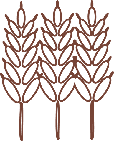minimalist transparent wheat stalk illustration for eco designs - Download Free Stock Videos Pikwizard.com