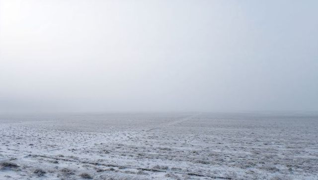 Minimalist Foggy Winter Plain with Frosted Grass and Faint Tracks Leading to Hazy Horizon