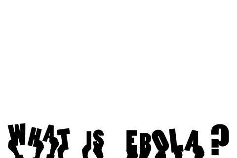 101 transparent illustration of what is ebola - Download Free Stock Videos Pikwizard.com