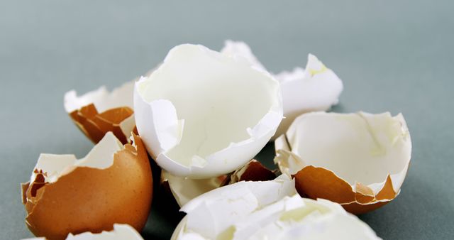 Scattered Eggshells on Gray Surface - Download Free Stock Images Pikwizard.com