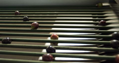 Steel bars with grapes showcasing modern industrial design