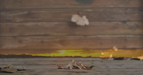 Autumn Leaves in Gentle Breeze on Wooden Plank - Download Free Stock Images Pikwizard.com