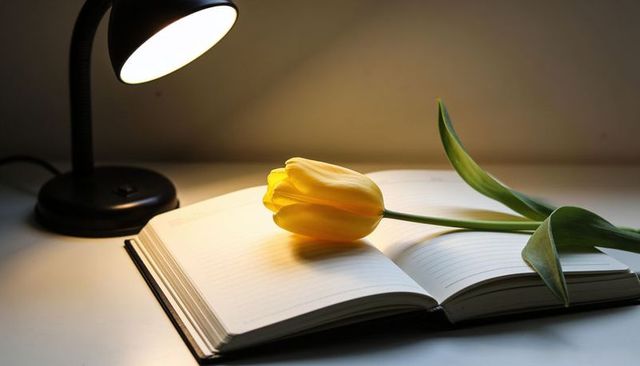Yellow tulip resting on open journal under warm desk lamp glow minimalist still life