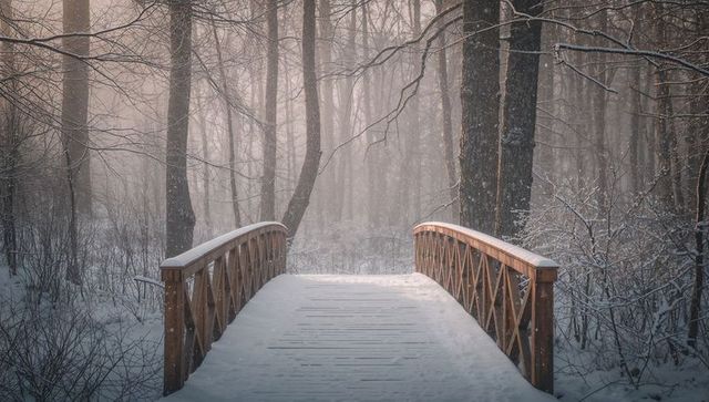 Snow-covered wooden footbridge leading into misty winter forest with soft pastel light