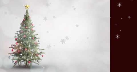 Elegant christmas tree with golden star in minimalist design