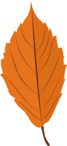 Flat Orange Colored Leaf with Transparent Background - Download Free Stock Videos Pikwizard.com