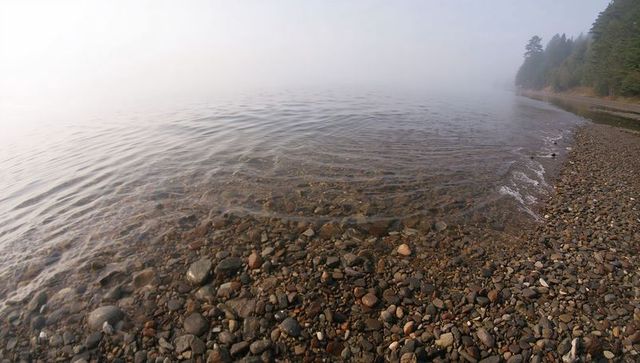 Pebble shoreline curving into fog over calm rippling water