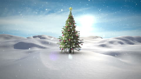 Christmas Tree with Ornaments in a Snowy Winter Wonderland