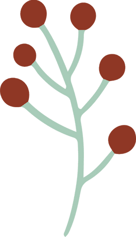 Minimalist Branch with Brown Berries Vector on Transparent Background