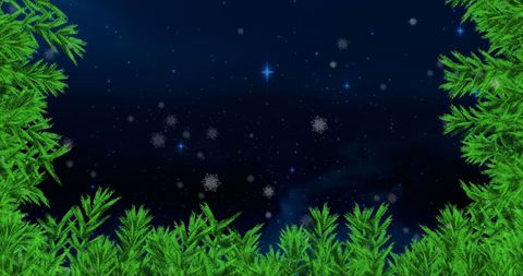 This scene showcases snow gently falling against a star-filled night sky, framed by vibrant, green pine branches. The empty space in the center provides an ideal area for festive text or greetings, making it excellent for holiday cards or event invitations. The tranquil atmosphere evokes feelings of serenity associated with wintry nights. Use it to accentuate themes of winter, celebrations, or nature’s beauty during the holidays.